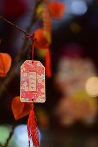 rút tiền nhanh Sodo
